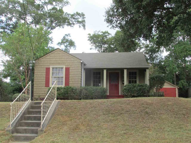 Main View