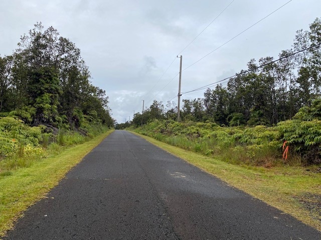 Property is located between the orange ribbon and the electris pole on the right side.