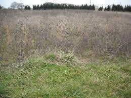 Sharp Valley Farms lot pic