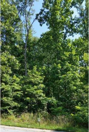 Easy-to-Build-On Lot 11