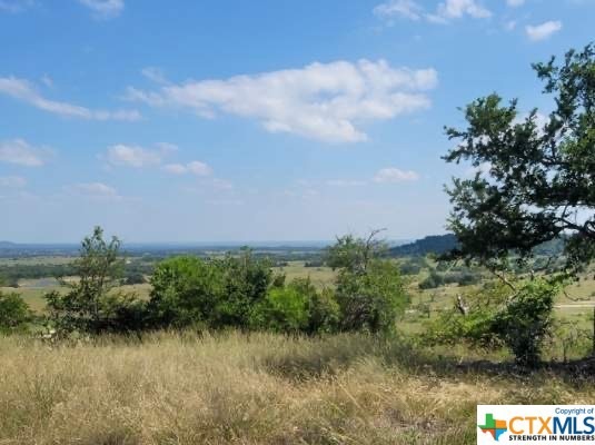 Lot 40 Cottonwood Mesa Dr, Kempner, TX 76539 - photo 1