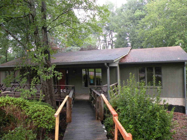 Main View