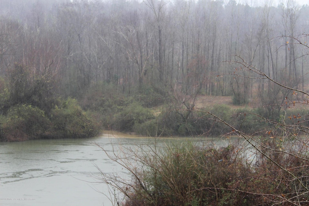 River View