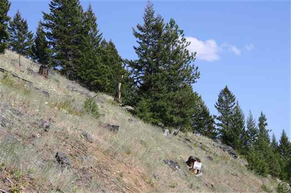 8863 Wallace Creek Rd, Clinton, MT 59825 - photo 1