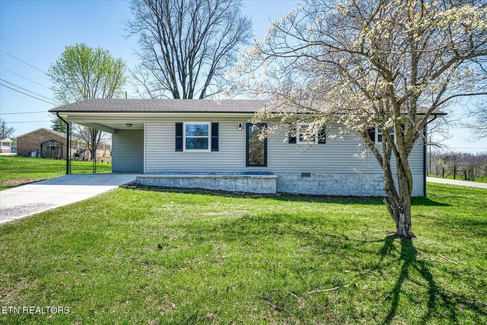 313 Myrtle Ave, Crossville, TN 38555 - photo 1