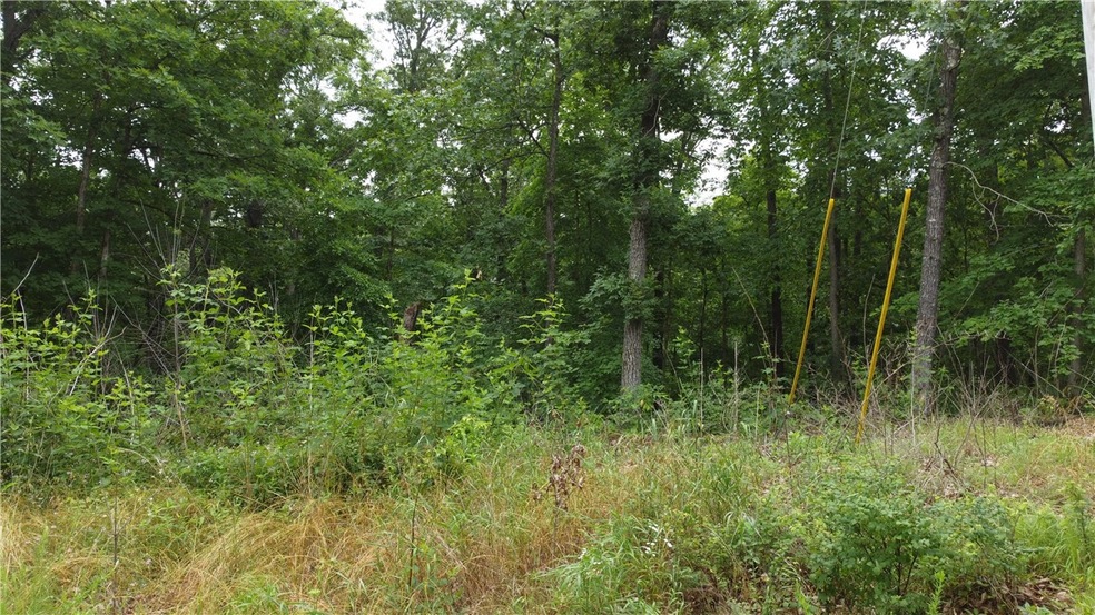 0 Ayton Ln unit 1248387, Bella Vista, AR 72714 - photo 1