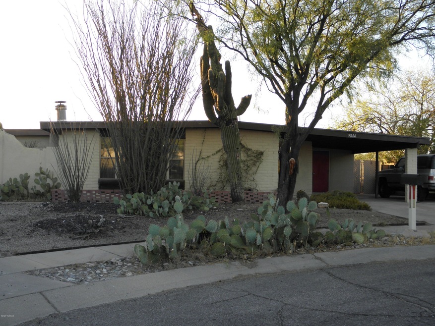 Two beautiful sahuaros on property