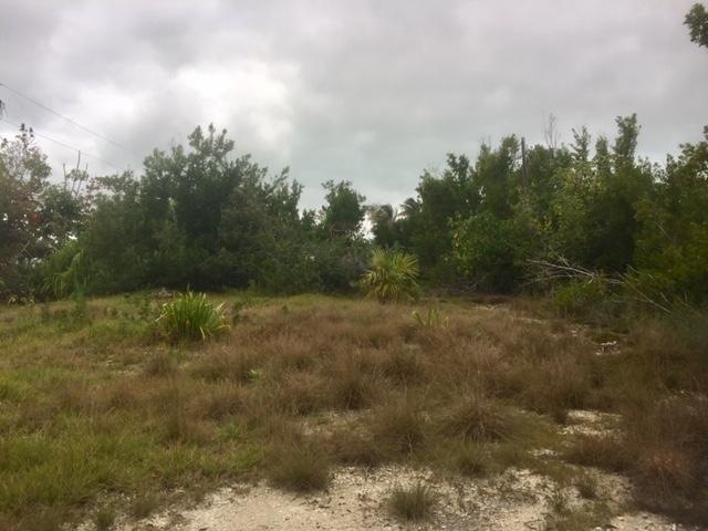 Yard with no one behind