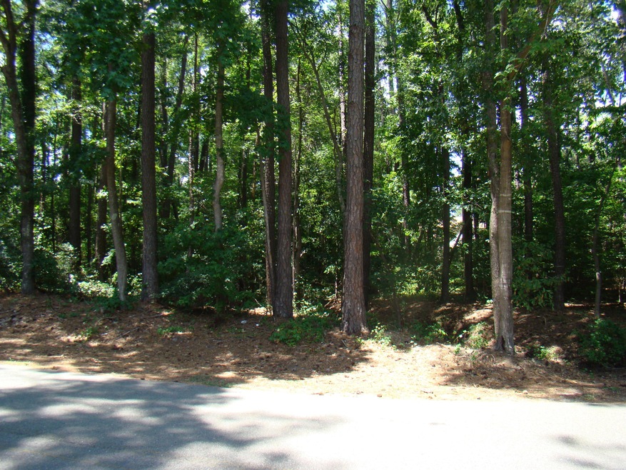 DSC08558