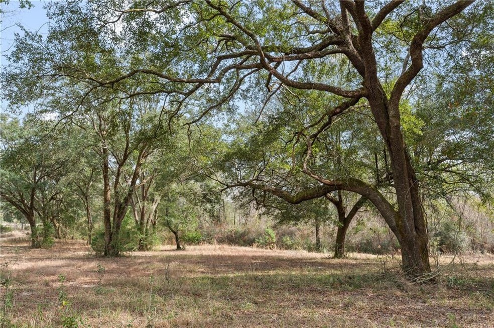 0 Grand BayWilmer Rd S Unit 7164583, Mobile, AL 36695 MLS 7164583