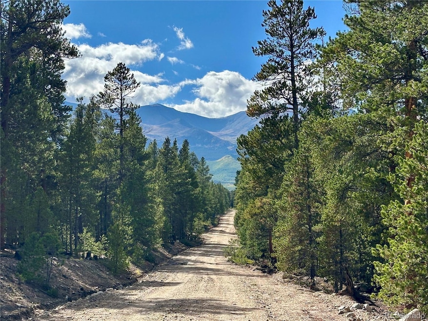 143 Fir Dr, Twin Lakes, CO 80461 - photo 1