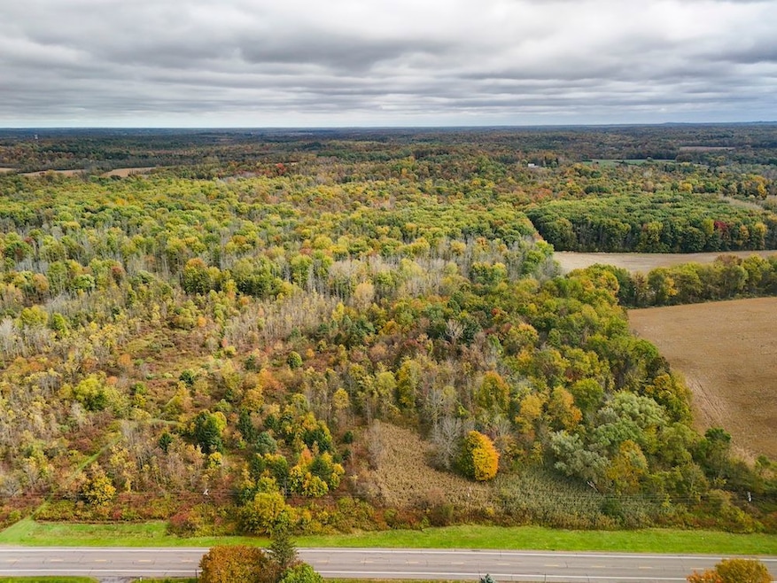 8188 Route 104 A, Wolcott, NY 14590 - photo 1