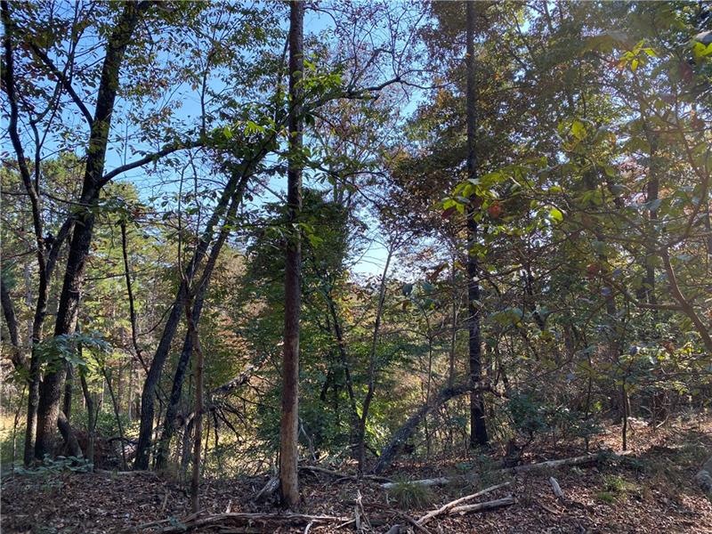 21 Crown Mountain Place, Dahlonega, GA 30533 - photo 1