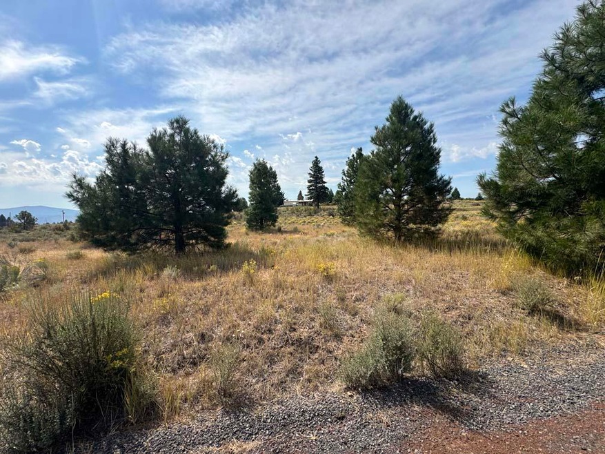 .43 Acres Agency Lake