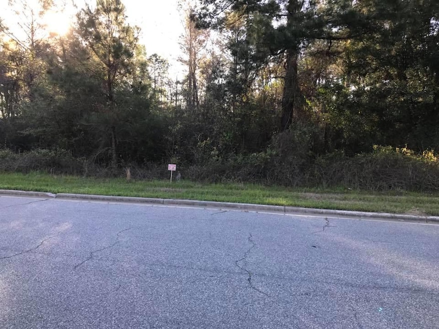 1506 River Pointe Dr, Albany, GA 31701 - photo 1