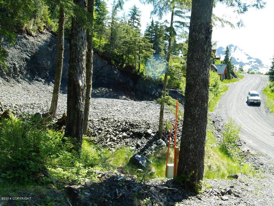 103 Cabin Ridge Rd, Cordova, AK 99574 - photo 1