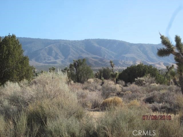0 Hemlock unit CV17263110, Pinon Hills, CA 92372 - photo 1