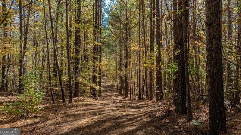 0 Jones Ferry Rd unit 10649572, Palmetto, GA 30268 - photo 1