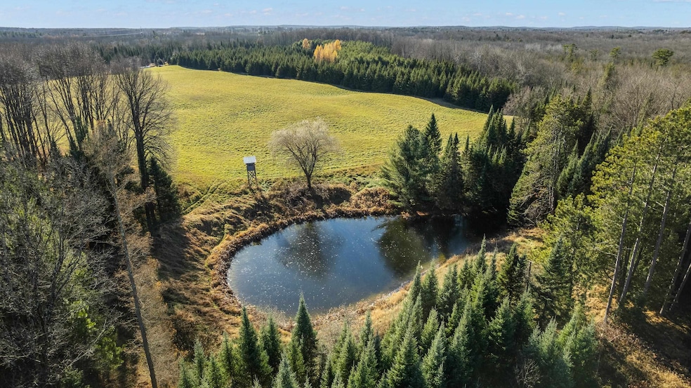 Lot 1 & 2 Maple Ln, Grant, WI 54486 - photo 1