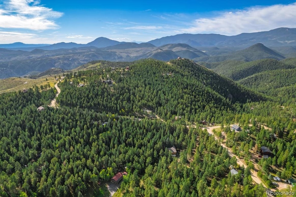 360 Hi Meadow Dr unit 21, Bailey, CO 80421 - photo 1