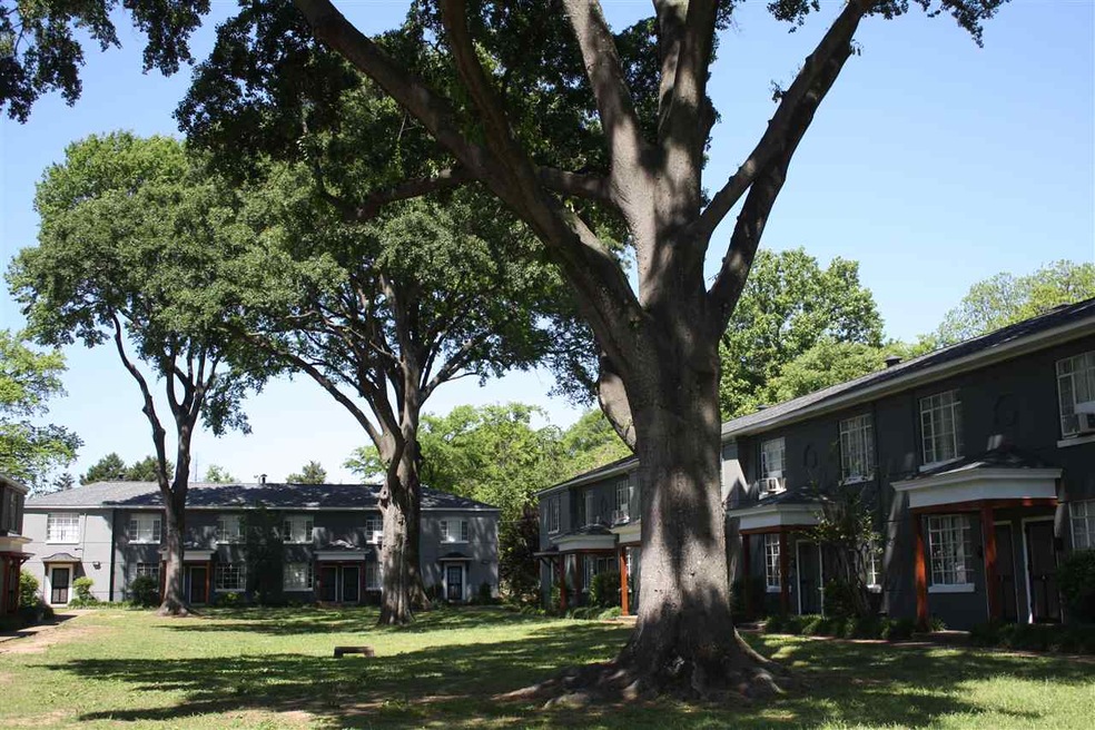 Courtyard trees and shade