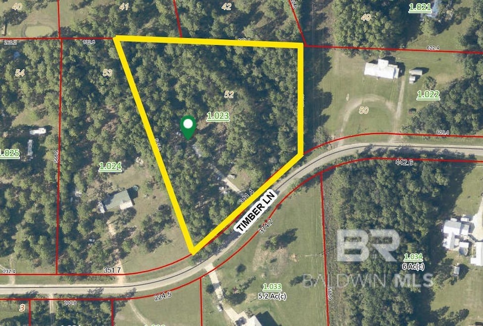 26785 Timber Ln unit 52, Elberta, AL 36530 - photo 1