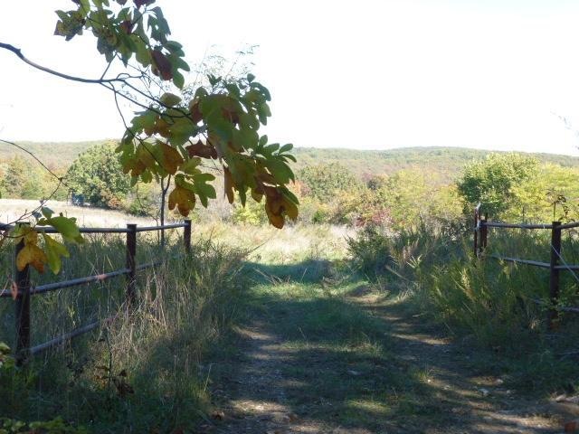 Entrance 1