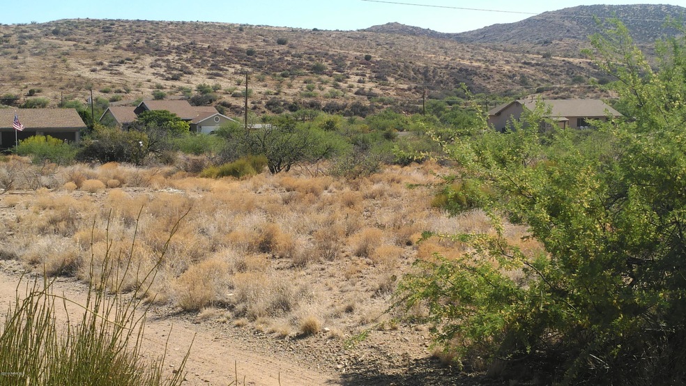 Antelope S