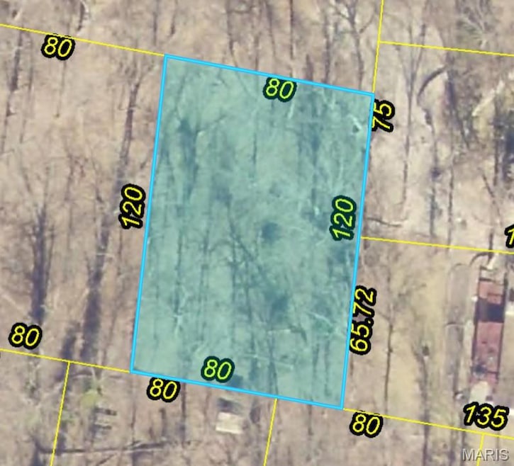 545 Friar Tuck Ct, Charrette Township, MO 63357 - photo 1