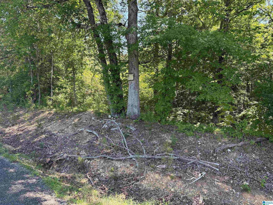 0 Murdock Rd unit 21420317, Attalla, AL 35954 - photo 1