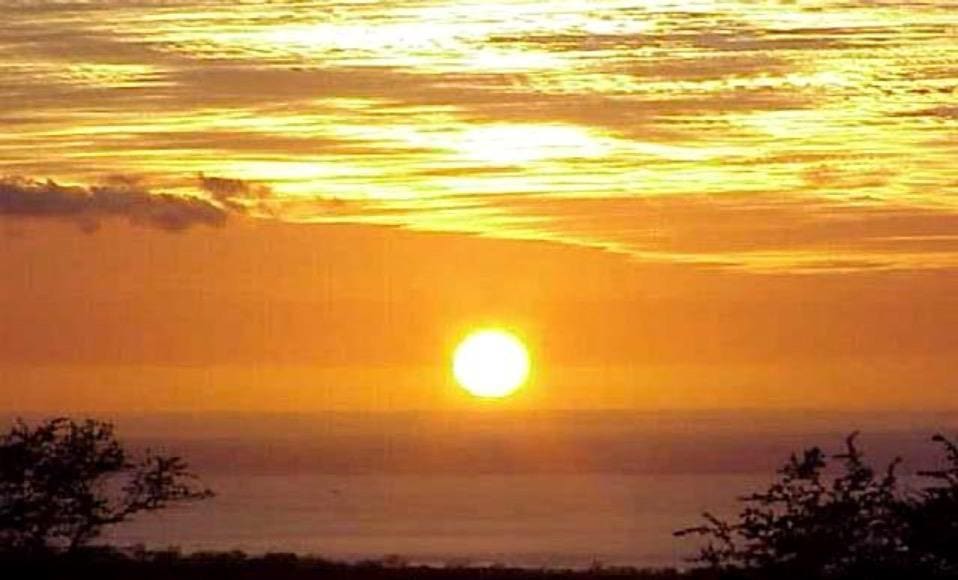 Sold $1,166,000 • Co-Listing Agent