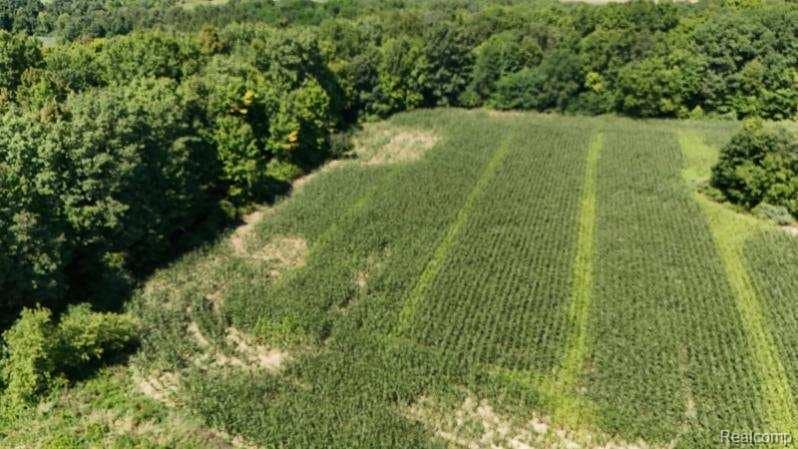 Parcel 4 Sycamore St, Dryden Township, MI 48428 - photo 1