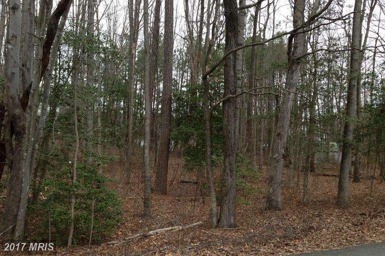 0 Not On File unit 1000399247, Ruther Glen, VA 22546 - photo 1