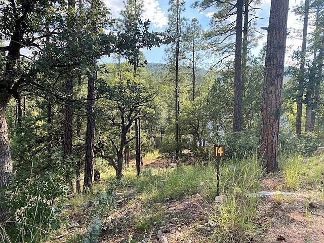 14 Wipila Wiki Dr, Payson, AZ 85541 - photo 1