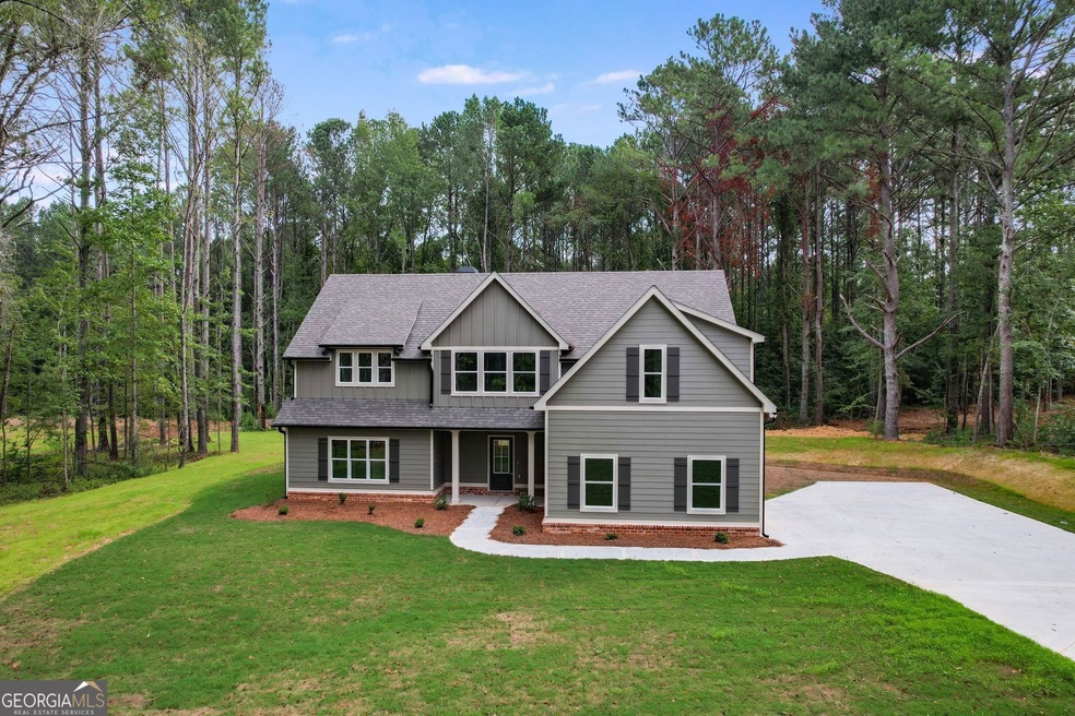 309 Payne's Lake Rd, Carrollton, GA 30116 - photo 1