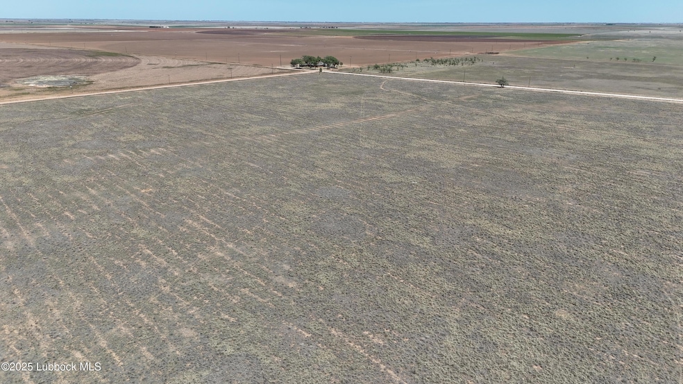 dji_fly_20250408_145552_0339_17441415775