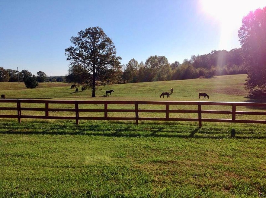 230 County Road 461, Oxford, MS 38655 - photo 1