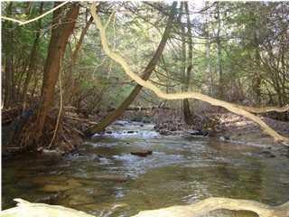 9 0 Clear Brooks Rd #2