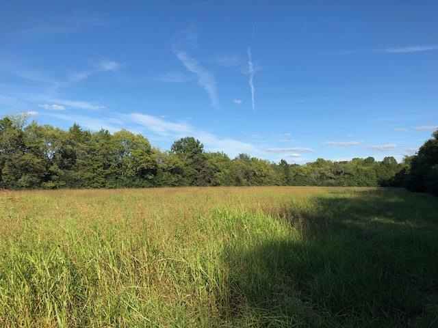 2703 Warner Rd, Lewisburg, TN 37091 - photo 1