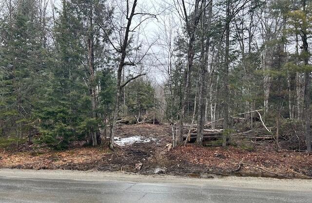 image1 (8)