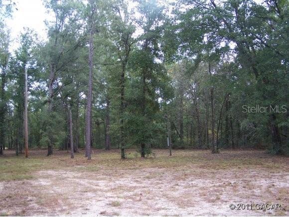 343 Luke Rd, Fort White, FL 32038 - photo 1