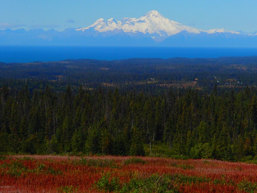 Misty Ridge & View of Iliamna Volcano