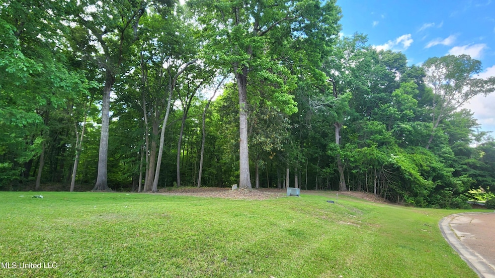 00 Bluff Hills Place, Natchez, MS 39120 - photo 1