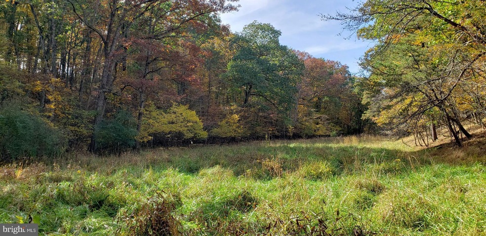 0 Route unit WVMO2001156, Berkeley Springs, WV 25411 - photo 1