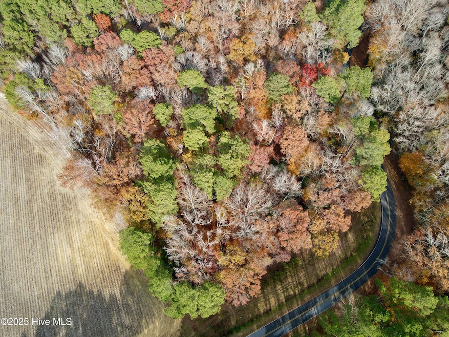 0 Williams St, Williamston, NC 27892 - photo 1