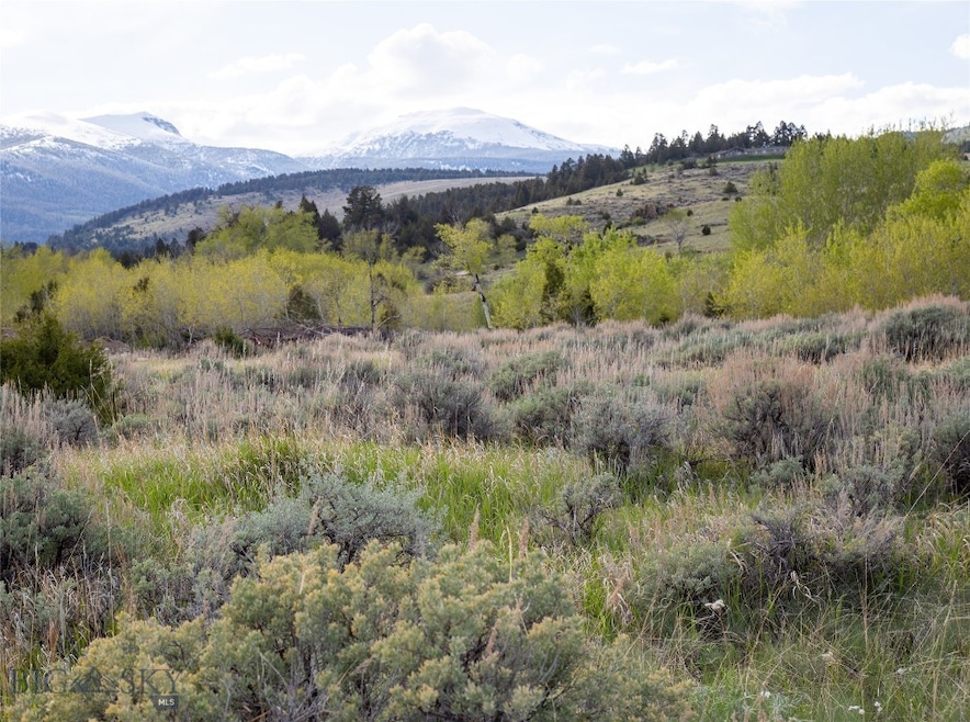South Baldy in the distance
