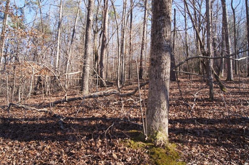 Double paved county road frontage and a level to s