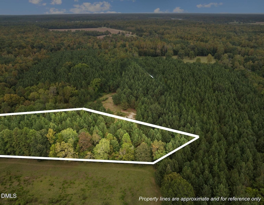 Lot 4 Wolf Tree Way, Efland, NC 27243 - photo 1