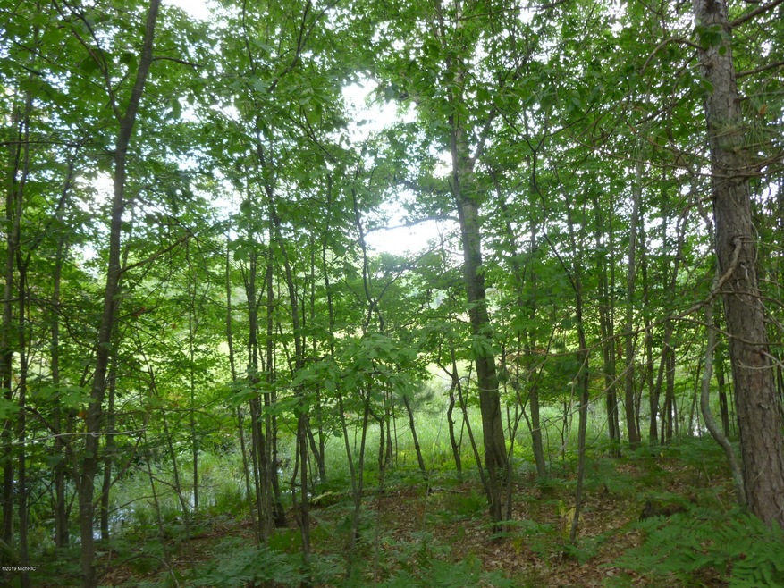 10800 N Beaver Trail, Lilley Township, MI 49309 - photo 1