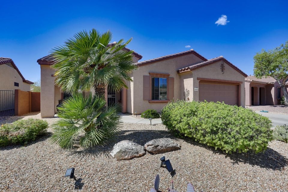 16943-Desert-Rose-Lane-Dr-10